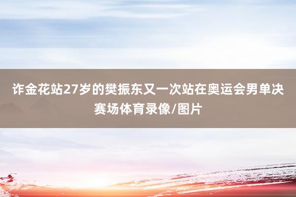 诈金花站27岁的樊振东又一次站在奥运会男单决赛场体育录像/图片