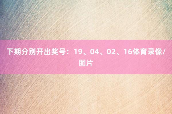 下期分别开出奖号：19、04、02、16体育录像/图片